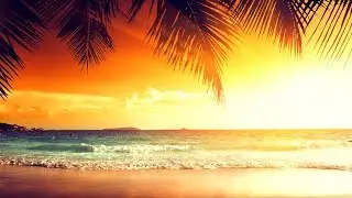 Slusnik Luna - Sun 2011 (4 Strings Remix)