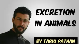 Class 12 Chapter 2 - Excretion in Animals Explained by Tariq Pathan
