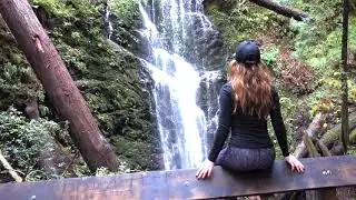 Tent cabin camping in Big Basin Redwoods