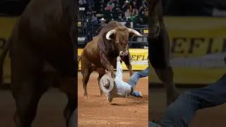 Bull vs Cowboy! Rider Launched Sky High 🤠🐂 #shorts