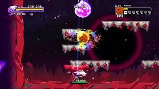 Dragon Marked for Death - Final Boss No Damage run (Shinobi/Quest Level 50)