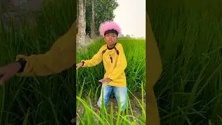 Sapi lari#funny #shorts