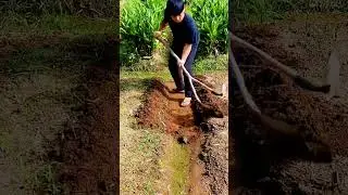 unique hoe for cultivating garden soil #shorts