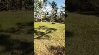 Yarbo mower test running on 6 acres before the grass starts growing fast