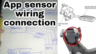 Explain App (accelerator pedal position sensor) wiring connection  | Lesson1 | par2 |