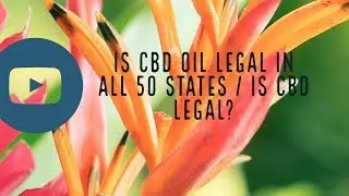 Is CBD Oil Legal in All 50 States | Is CBD Oil Legal | DEA CBD Oil