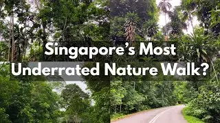 Is Chestnut Avenue Singapore&rsquo;s Most Underrated Nature Walk?