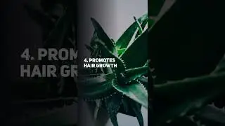 5 Healing Benefits Of Aloe Vera #shorts