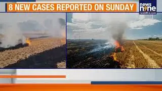 Punjab Cracks Down on Stubble Burning | 90 Cases Reported, Amritsar Leads | News9