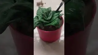 কি গাছ এটা!? #ndecor #diy #succulentdecor #artificial @N-Decor