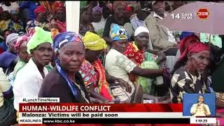 Malonza: Human-wildlife conflict victims to be paid soon