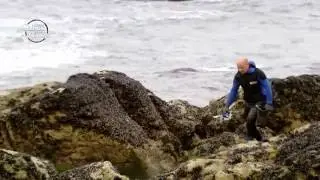 A GUARDA ENTRE MAREAS