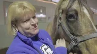 Hippotherapy at GVSU