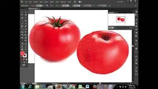 Using Mesh tool in Illustrator for Beginner II TA Films