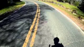 Downhill Cycling: Rocky Butte Portland, Oregon