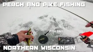 Ice Fishing for Perch and Pike with Finicky Foolers in Northern Wisconsin (12-31-2025)