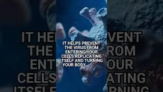 Ivermectin Facts & Insights in 30 seconds