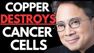 4 Copper-Rich Foods That Starve Cancer and Improve Circulation Dr. William Li