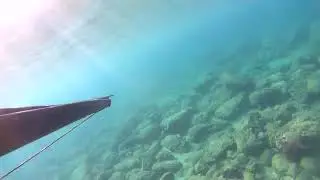 Saroz Küçük kemikli sualtı videosu