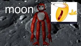 WALKING ACROSS THE WHOLE MOON IN GORILA TAG?! 🌕