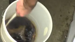 Festival Spiced Winter Ale Kit