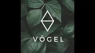 Iteraciones Vogel