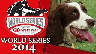 Gun Dog World Series Championship 2014 Round Up and WINNER!