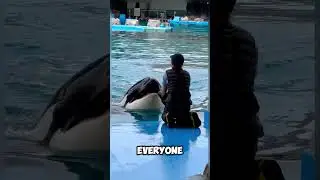 She Tamed The UNTAMEABLE! 🤯 Her Orca's SHOCKING