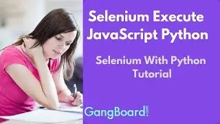 Selenium Execute JavaScript Python | Selenium With Python Tutorial For Beginners