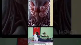 Yoga for Thyroid Problem ✅#yogaforthyroid #thyroidhealth #yt #shorts #viral #explorepage #reel #yoga