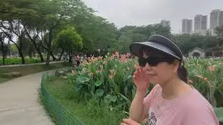 Foshan Local People Life Experience Tour Guide Guangzhou Private Guide in Foshan Tourist Attractions