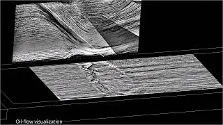 Flow Physics of a Turbulent Shockwave/Boundary Layer Interaction - a Visual Study