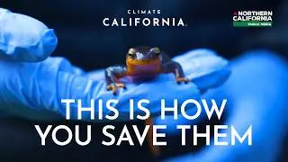 Music Is the Key to Biodiversity Conservation. No, Really. | Climate California