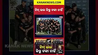 New Zealand Cricket Board: World&rsquo;s Poorest? Salary, Equality & Kiwi Cricket Facts