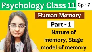 Psychology class 11 Chapter 7 | Part 1: Nature of memory, Stage model of memory