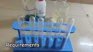 BIOCHEMICAL TEST|TEST FOR PROTEIN|PU 1|BIOLOGY|LABORATORY EXPERIMENTS