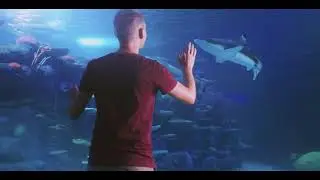 Day and Night on the Reef at SEA LIFE Sydney - 30 seconds TV Commercial