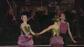 &ldquo;Waltz of the Flowers&rdquo; performed by Cape Town Philharmonic Orchestra & Cape Ballet Africa