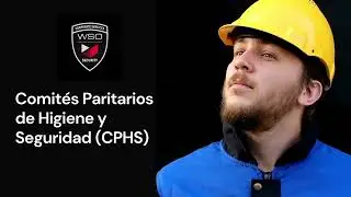 Comit&eacute;s Paritarios de Higiene y Seguridad