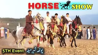 Horse Show Event On Potha Sher Mela | Hammad Official