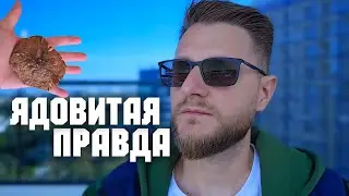 Откровения Знающего! Три мухомора: Красный, Королевский, Пантерный