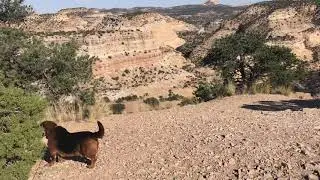 Duke visits Utah