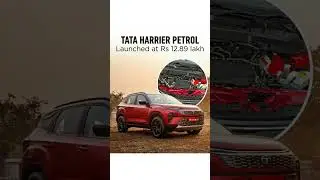 #Tata #Harrier #Petrol 🔥 #Launch Soon? Mileage, Price & Power Revealed 😱 #tatamotors #viral #shorts