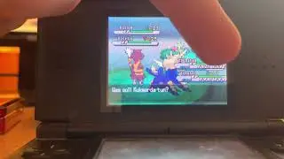 (ISHC #9) Shiny Whirlipede After 5748 REs Team ShinyDenRotation