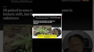 Marijuana and Trademarks