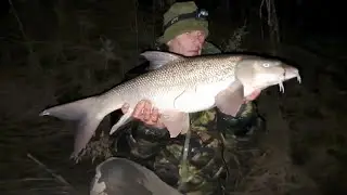 Boxing Day Double, Barbel Fishing, Yorkshire River Ouse, 2025.