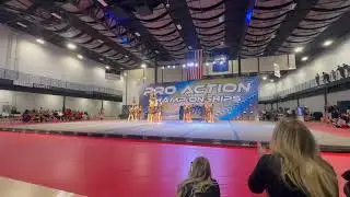 Phoenix pro action