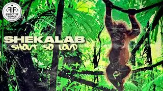 Shekalab - Shout so Loud