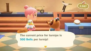Animal Crossing New Horizons Episode 4 -- Turnip Price 500