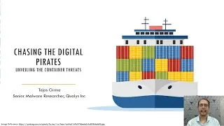 Chasing the Digital Pirates: Unveiling the Container Threats